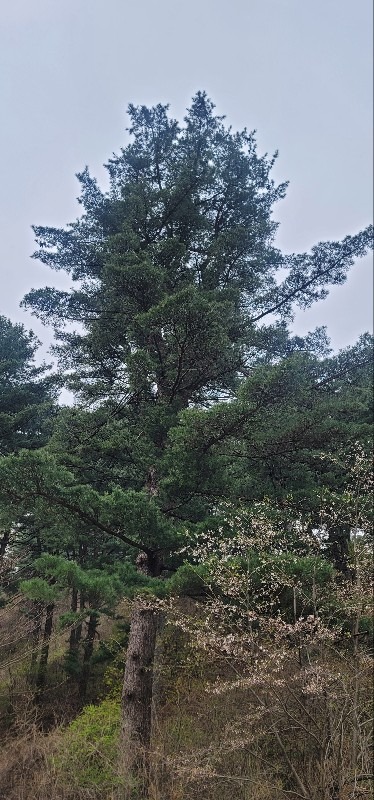 KakaoTalk_20230420_120750042_09.jpg