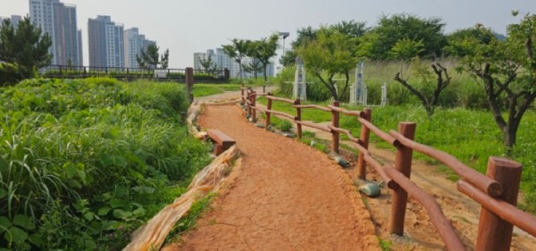 황톳길3.jpg