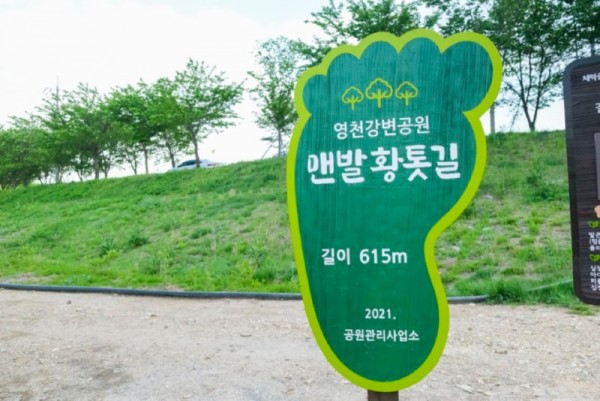 19_1.jpg