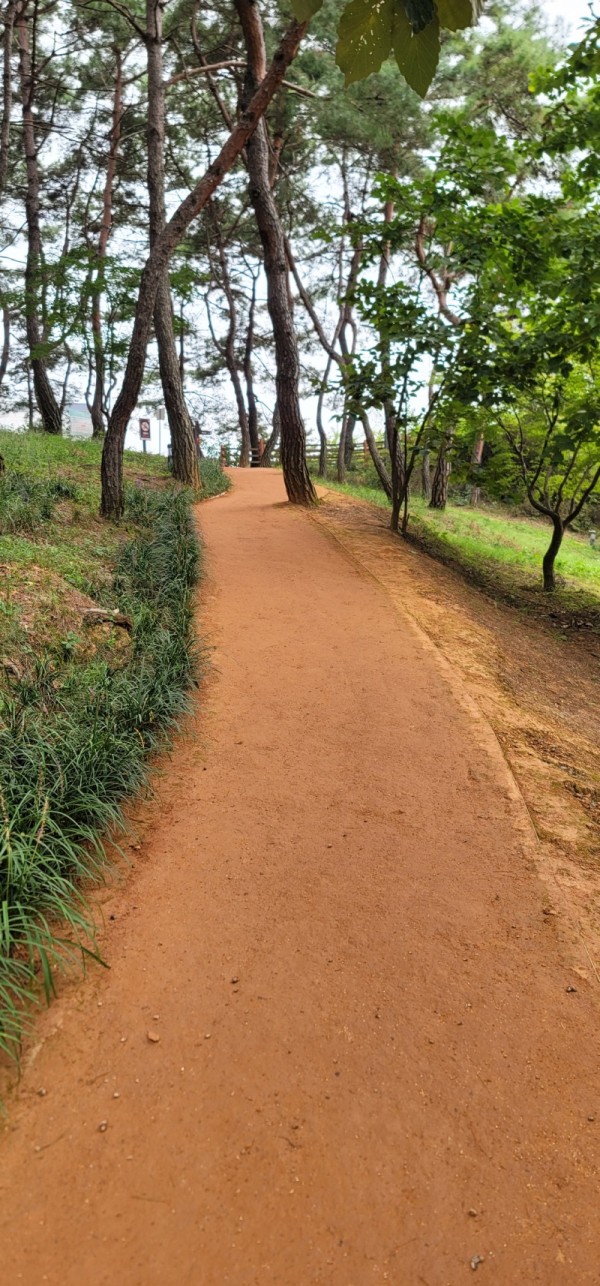 KakaoTalk_20230913_231104398_06.jpg