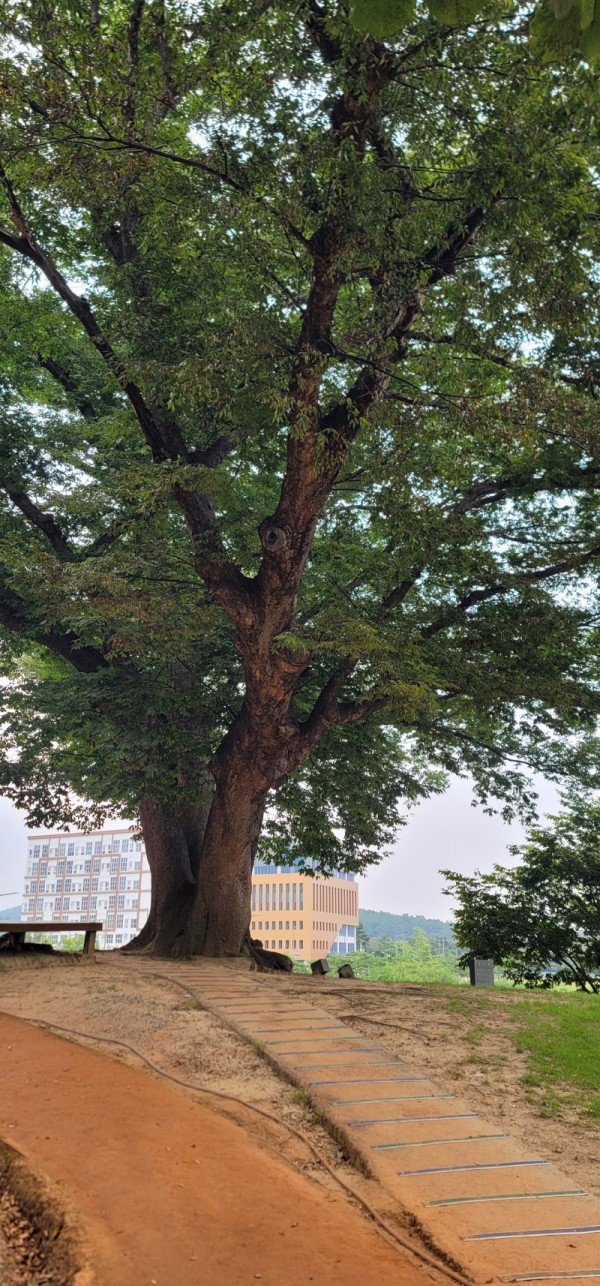KakaoTalk_20230913_231104398_09.jpg