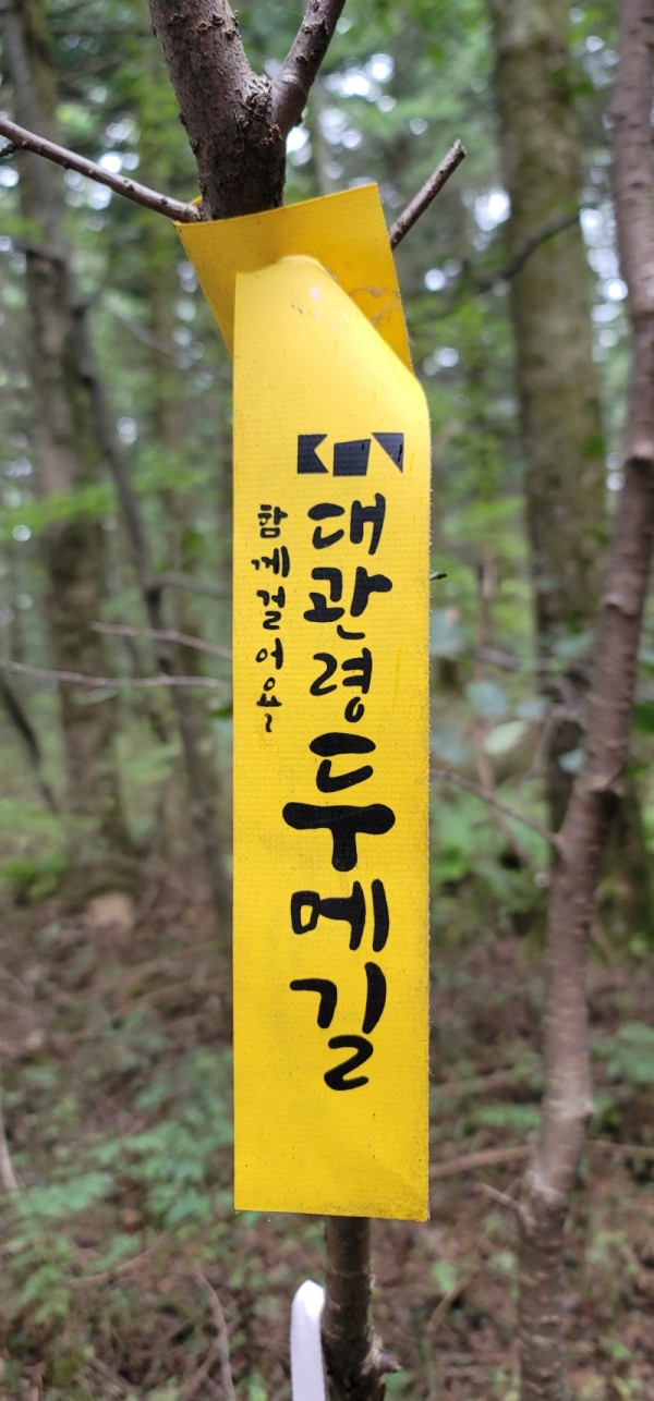 KakaoTalk_20231009_010950832_02.jpg