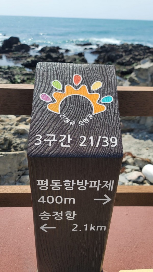 436367611_2562170113944306_8380504952772151015_n.jpg