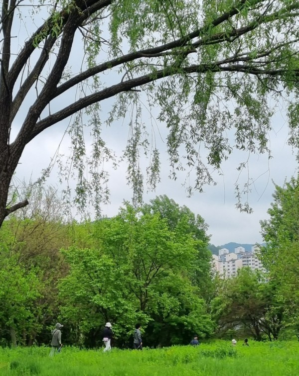 20250515_101900.jpg