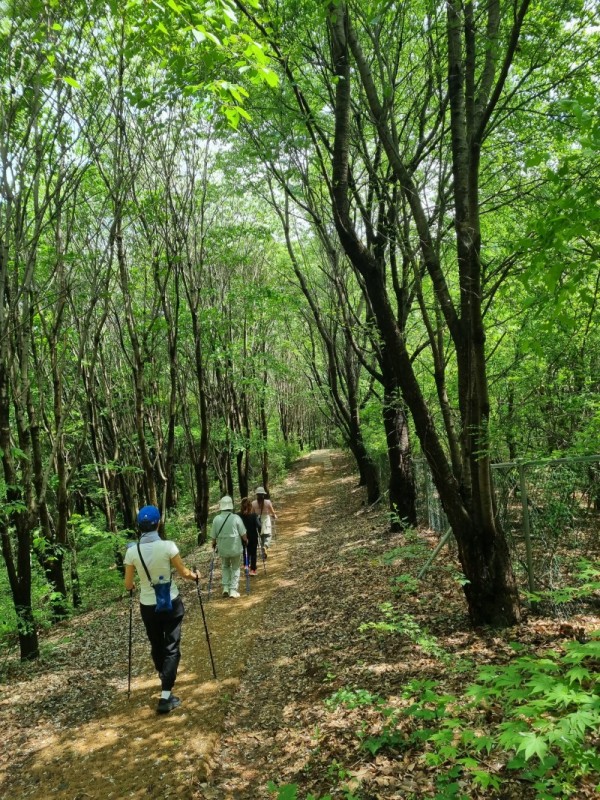 KakaoTalk_20250517_144153460_04.jpg