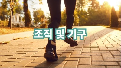 조직 및 기구