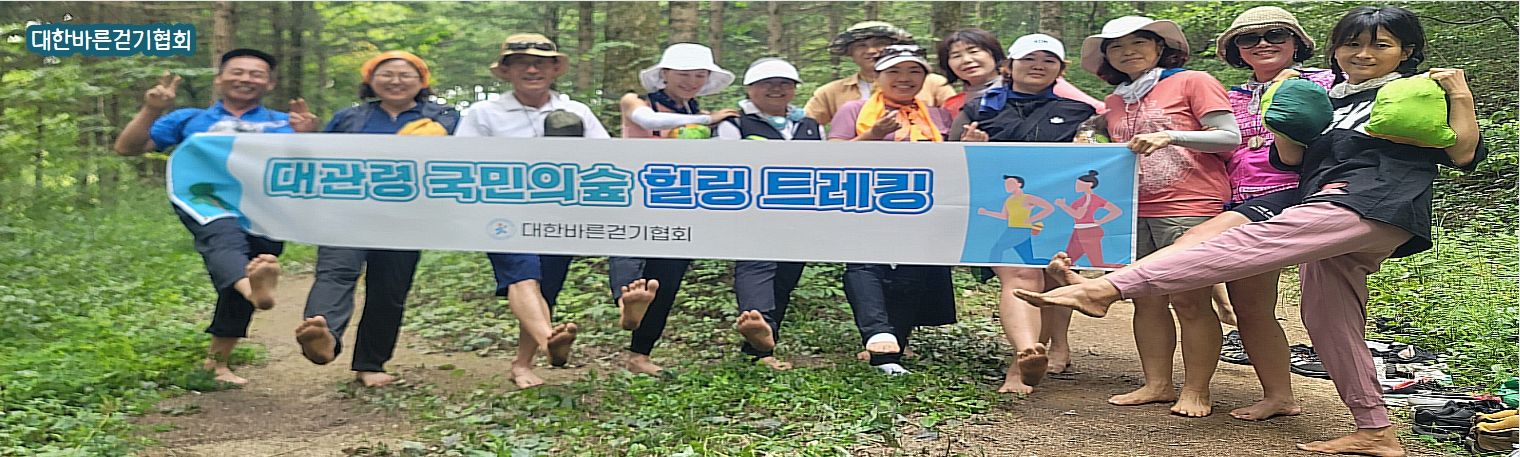 대관령 힐링트래킹